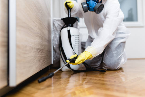 Best Best Pest Control Companies  in Dayton, TN