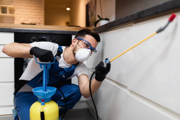 Best Pest Removal Services  in Dayton, TN