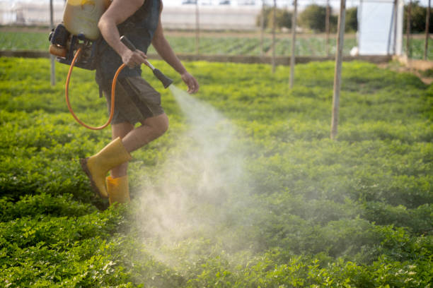 Best Pest Prevention Services  in Dayton, TN