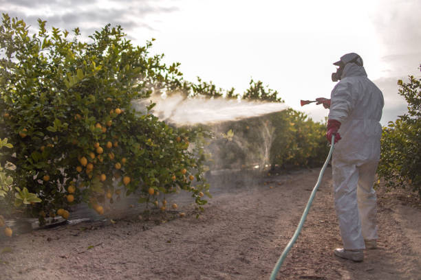 Best Commercial Pest Control Services  in Dayton, TN