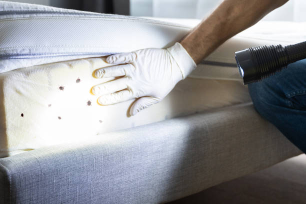 Best Residential Pest Control  in Dayton, TN