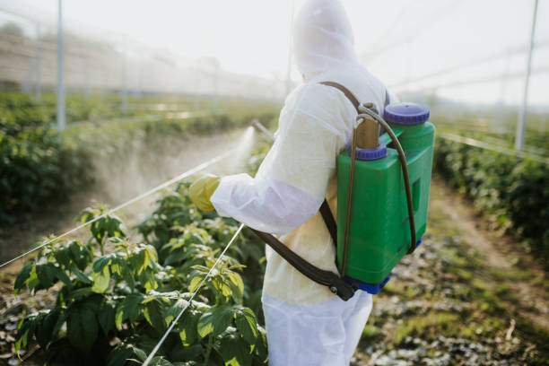 Best Flea Control Services  in Dayton, TN